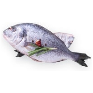 Organic Fish