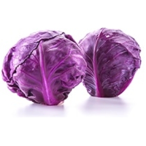 Purple Cabbage